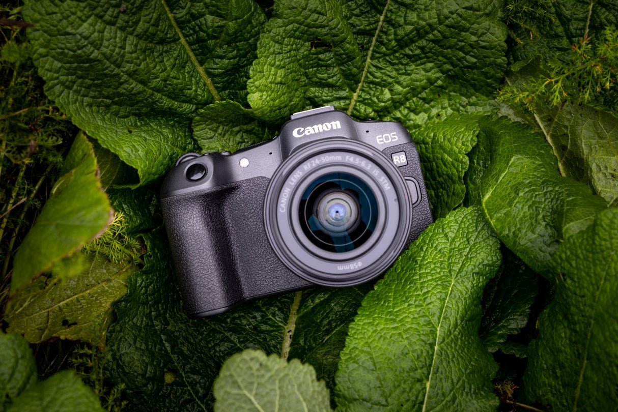 Camara Reflex Canon Eos R8 + Rf 24 50 F4.5 6.3 Is Stm 24.2mpx Negro