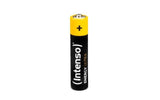Intenso Energy Ultra Alcalina Aaa Lr03 Pack-10