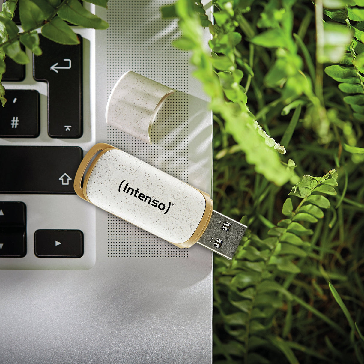 Pendrive Intenso 3540491 Usb 3.2 Green Line 128gb