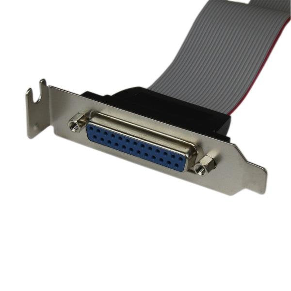 Startech Adaptador 40cm Header Cabezal Bracket Per
