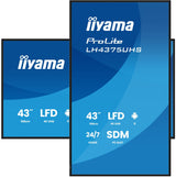 Iiyama 108cm (42,5") Lh4375uhs-B2ag 16:9 2xhdmi+3xdp+2xusb
