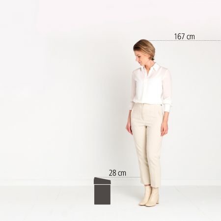 EAN 8710755363986 - Brabantia TOUCH BIN 3 L Alrededor Acero imagen 3