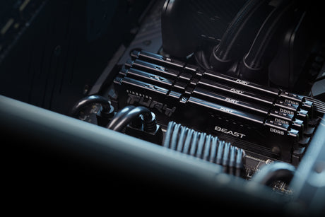 EAN 0740617342611 - Kingston Technology FURY Beast módulo de memoria 2 x 16 GB 6800 MT/s 288-pin DIMM imagen 10