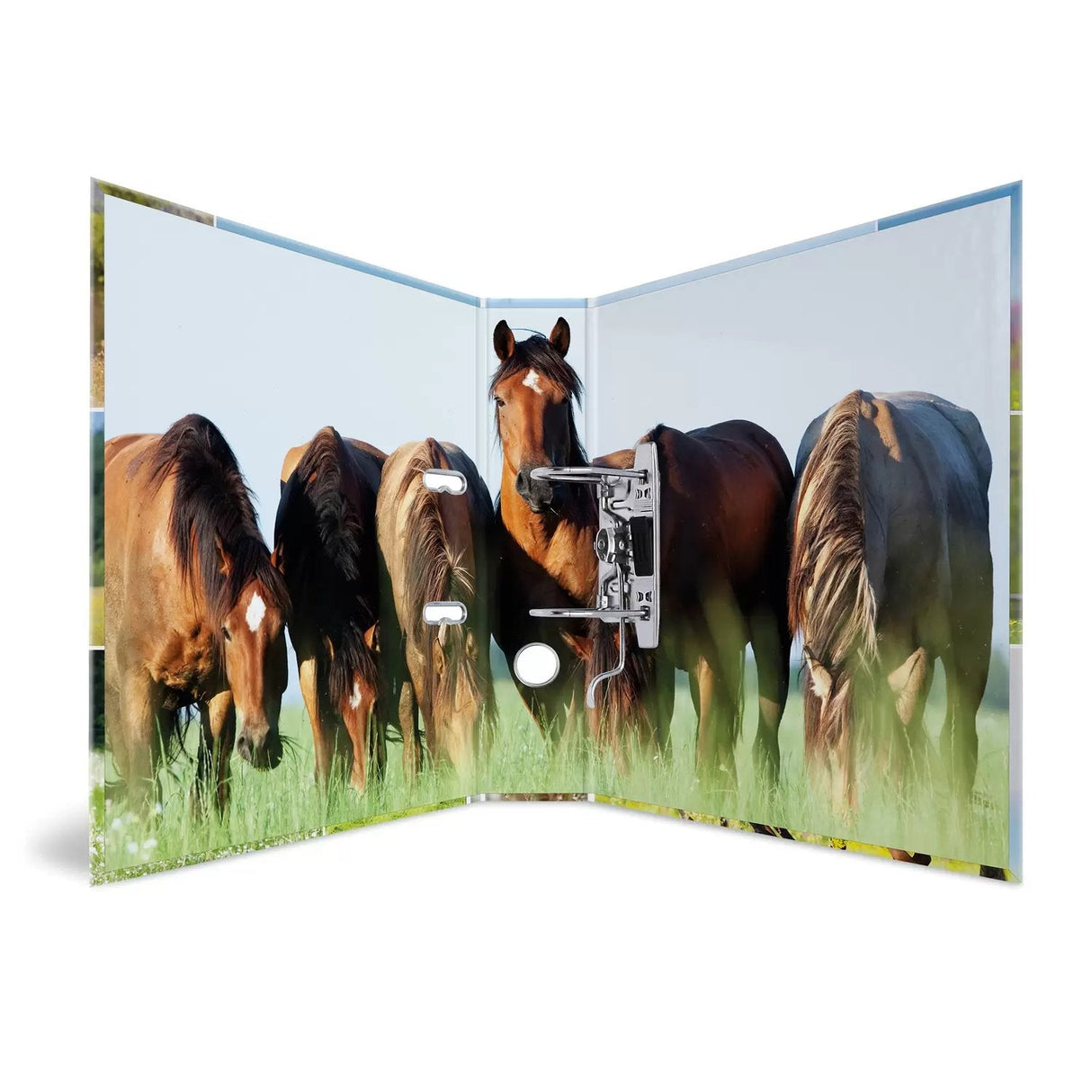 Carpeta Herma A4 Pradera De Caballos