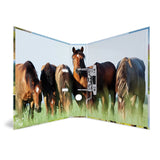 Carpeta Herma A4 Pradera De Caballos