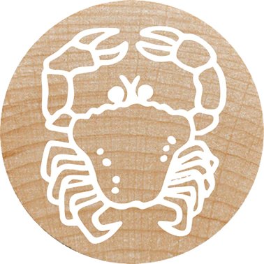 Colop Woodies Mempel-Set "Exotic Animation" Retail