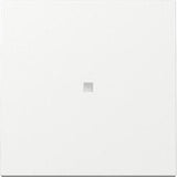Gira 329003 Tecla Basculante Kontrollf. System 55 Blanco Puro