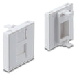 EAN 4043619815524 - DeLOCK 81552 accesorio para módulo Keystone Soporte para instalación en carcasa imagen 1