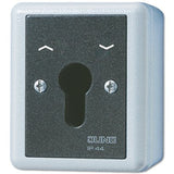 Jung 834.28 G Ap Wd-Schlüsselschalter 2p Wende