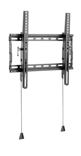 Basic Medium Wall Mount With  Tilt