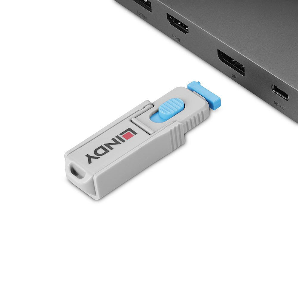 Lindy Displayport Port Schloss Azul 10 Mück