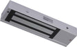 EAN 6941264011835 - Hikvision DS-K4H450S cerradura electromagnética 500 kg Gris imagen 1