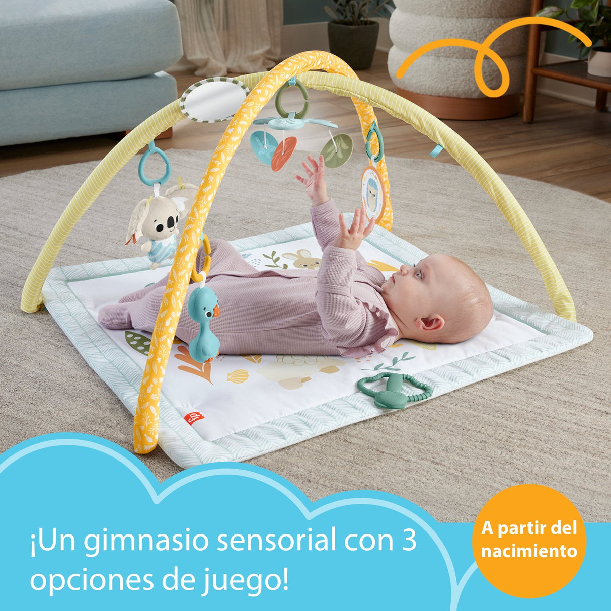 Gimnasio Infantil Despierta Tus Sentidos