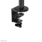 Neomounts By Newstar Soporte De Escritorio Para Portátil 11,6"-17,3"