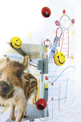 Magnetoplan Magnet Smilies 30mm Ge 6 Ud.