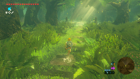 EAN 0045496312695 - Nintendo The Legend Of Zelda: Breath Of The Wild - Switch 2 Edition Alemán, Holandés, Inglés, Español, Fr imagen 4