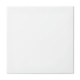 Busch Jaeger 2546-914 Tecla Basculante, Blanco Alpino, Busch-Balance Si, Cubiertas Para Interruptor Pulsador