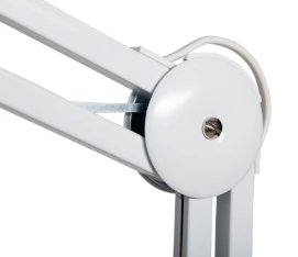 Maul 8265002 Lámapara De Lupa