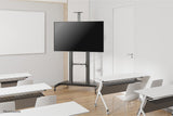 Newstar Soporte De Suelo Móvil Para Tv