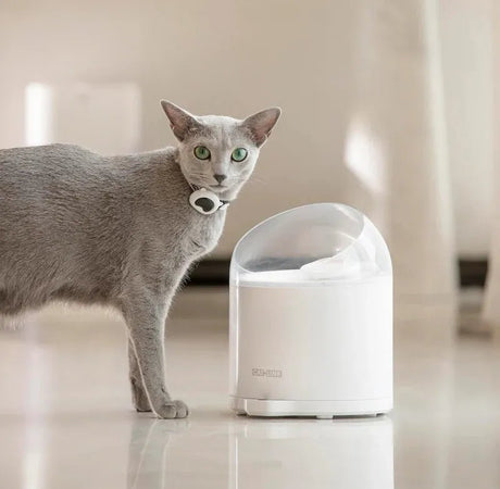 EAN 6972884751085 - CATLINK PURE 2 comedero y bebedero para perro y gato Acrilonitrilo butadieno estireno (ABS) Blanco Univer imagen 5