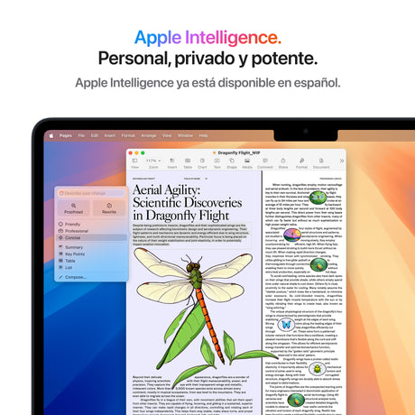 EAN 0195949837845 - Apple MacBook Air Apple M M4 Portátil 34,5 cm (13.6") 16 GB 512 GB SSD Wi-Fi 6E (802.11ax) macOS Sequoia  imagen 6