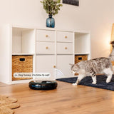 Cecotec Pumba 1600 Purrfect Meal Comedero Y Bebedero Para Perro Y Gato Negro Comedero Automático Para Mascotas