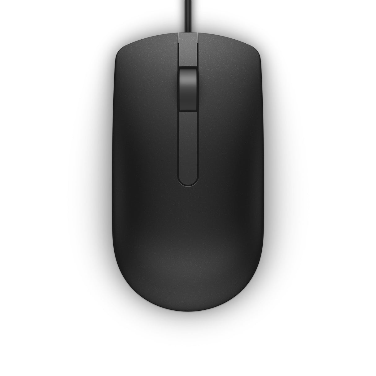 EAN 5704174208082 - DELL MS116 ratón Oficina Ambidextro USB tipo A Óptico 1000 DPI imagen 1