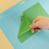 Sg-Gj-0013-Us-L-B2b