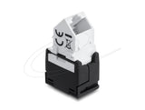 Delock Keystone Modulorj45 Hembra A Lsa Cat.6 45° Angulare Hembra Ungeschirmt