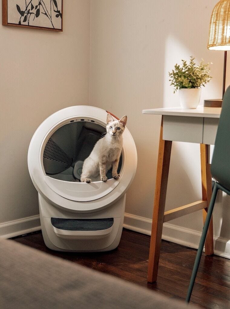 Whisker Litter-Robot 4 - Blanco - Eu