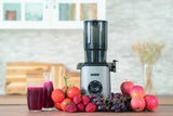Exprimidor Sam De Lento Desollosado, Plata/Negro, 200 Vatios, Recipiente De Jugo 1 Litro 78275