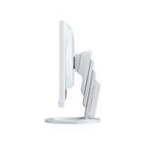 Monitor Eizo 60.5cm (23,8") Ev2480-Wt 16:09 Dvi+Hdmi+Dp+Usb-C White