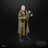 EAN 5010994179311 - Star Wars The Black Series F55295X0 toy figure imagen 9