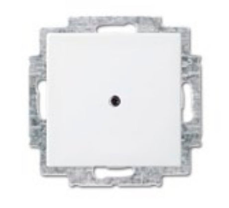 EAN 4011395190579 - Busch-Jaeger 1715-0-0319 placa de pared y cubierta de interruptor Blanco imagen 1