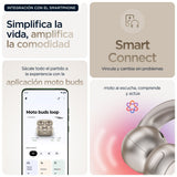 EAN 840023294310 - Motorola moto buds loop Auriculares Inalámbrico Clip de oreja Llamadas/Música/Deporte/Uso diario Bluetooth imagen 13