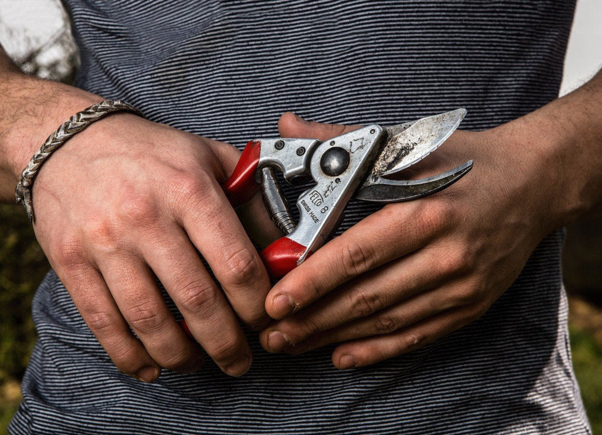 Felco 8 Tijeras De Podar Anvil Rojo