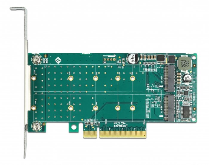 Delock Tarjeta Pci Express - 2x M.2 Key M