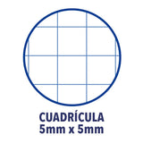 EAN 8412771002831 - Oxford Europeanbook 1 cuaderno y block A4+ 80 hojas Azul imagen 2