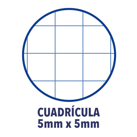 EAN 8412771002831 - Oxford Europeanbook 1 cuaderno y block A4+ 80 hojas Azul imagen 2