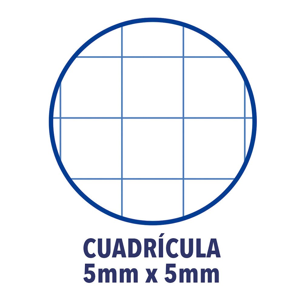 Oxford Cuaderno Europeanbook 1 Microperforado 80 Hojas 5x5 Tapas Extraduras Classic A4+ Turquesa -5u-