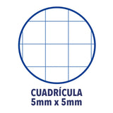 Oxford Cuaderno Europeanbook 1 Microperforado 80 Hojas 5x5 Tapas Extraduras Classic A4+ Turquesa -5u-