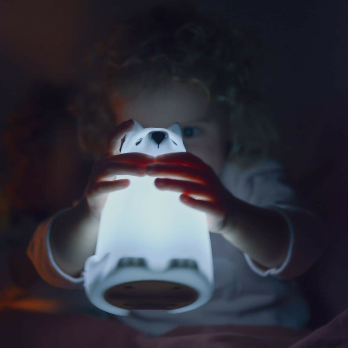 EAN 5430001702859 - KIDYWOLF Koala luz nocturna para bebés Independiente Blanco LED imagen 5