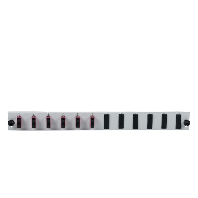 Efb Equipado Con Panel Frontal De 12 Puertos Con Acoplamiento Dúplex Sc 6 X Om3 Vertical, Gris
