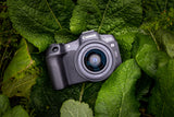 Camara Reflex Canon Eos R8 Cuerpo 24.2mpx Negro