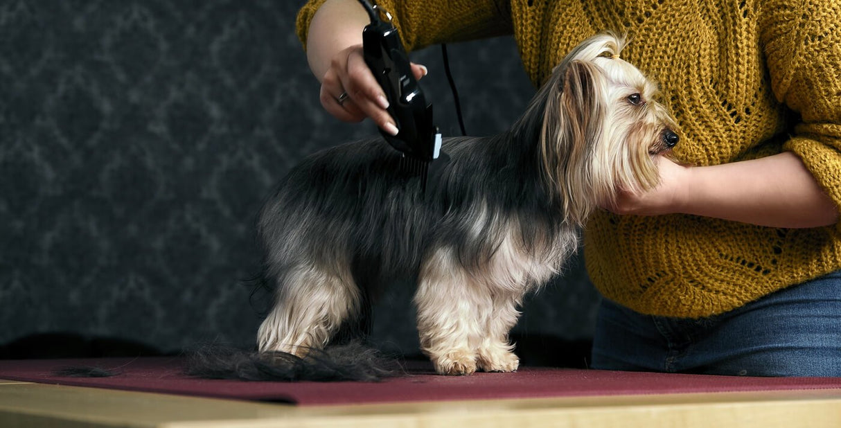 EAN 4015110034865 - Moser 1400-0076 cortadora de pelo de mascotas imagen 8