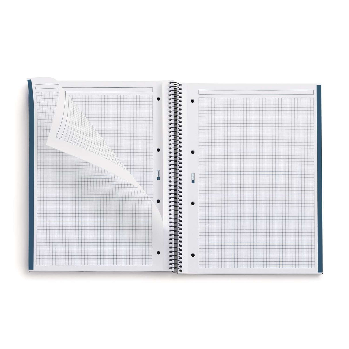 EAN 8422593061053 - MAUL A610599 cuaderno y block A4 80 hojas Multicolor imagen 2