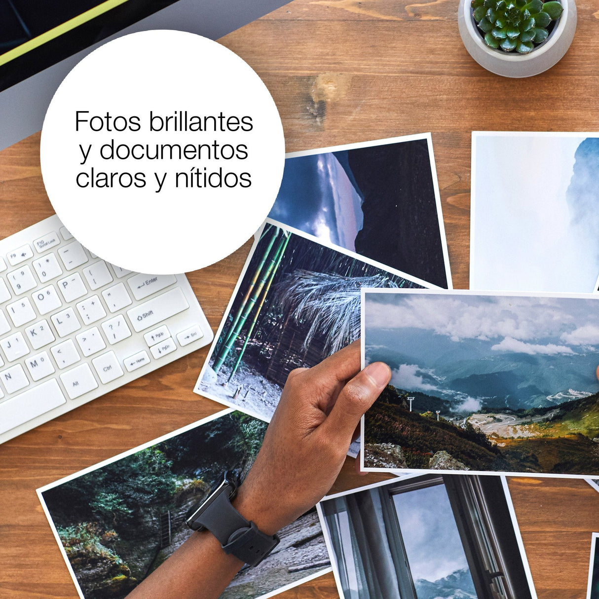 Epson 26 Cartucho Tinta Photo Negro Capacidad Standard 4.7ml 200 Photos 1-Pack Rf-Am Blister