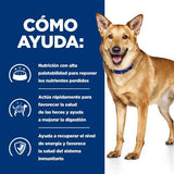 EAN 52742040738 - Hills 605862 alimento húmedo para perros Pollo, Ternera Universal 12 kg imagen 3