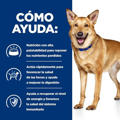 EAN 52742040738 - Hills 605862 alimento húmedo para perros Pollo, Ternera Universal 12 kg imagen 3