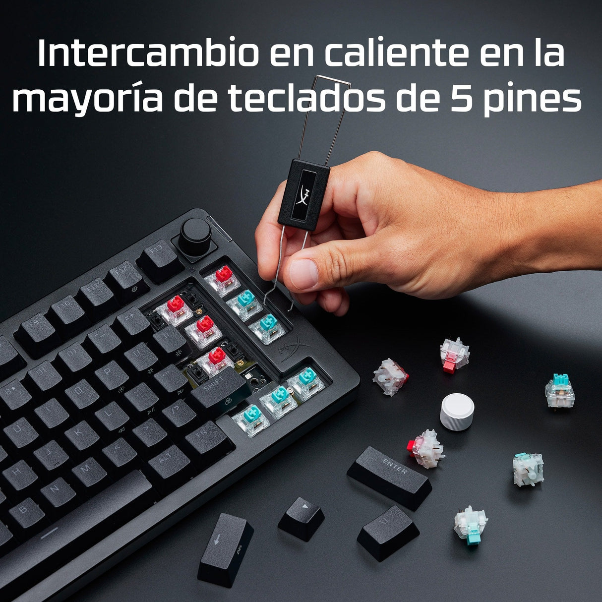 Hp Hyperx Tactile Switches